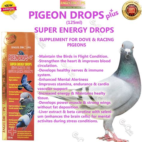 pigeonraceph|Products .